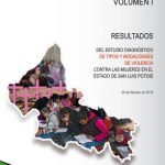 Diagnóstico de Tipos y Modalidades de violencia contra las mujeres en San Luis Potosí.