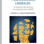 Segmentación y desigualdades laborales: La situación del personal de asignatura en la UNAM