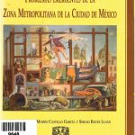 Problemas emergentes de la Zona Metropolitana de la Ciudad de México