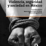 Violencia, seguridad y sociedad en México